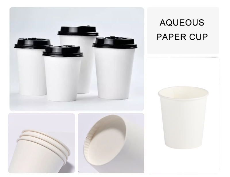  aqueous coated paper cup manufacturers in China