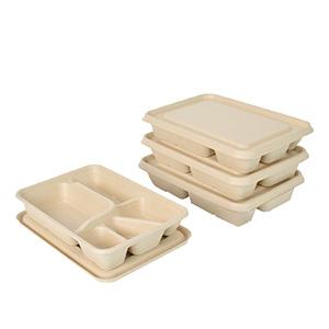 5 compt tray